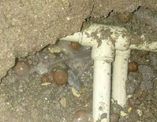 川汇卫生间测漏