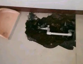 川汇卫生间测漏水多少钱